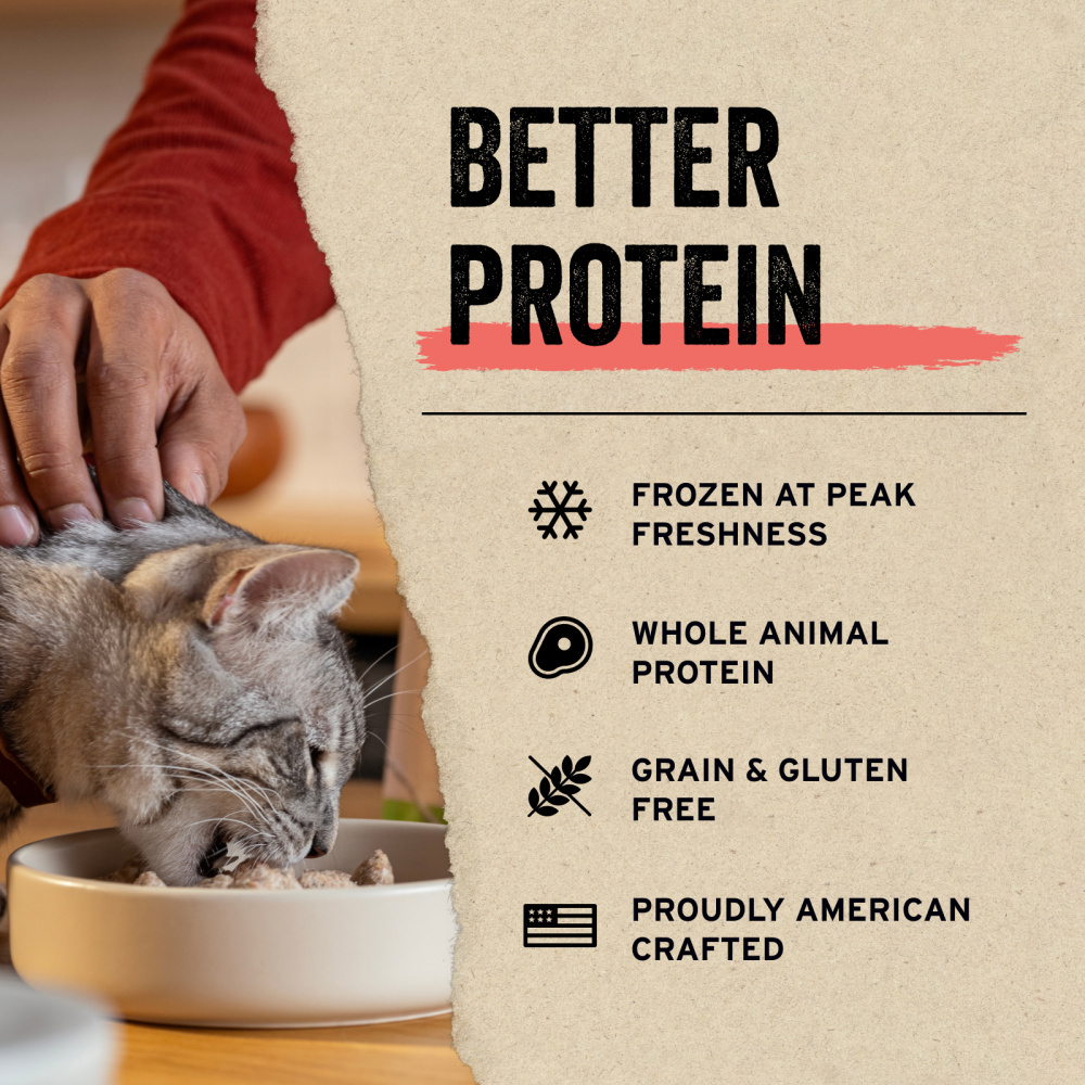 
                  
                    Vital Essentials Vital Cat Freeze Dried Grain Free Chicken Giblets Cat Treats
                  
                