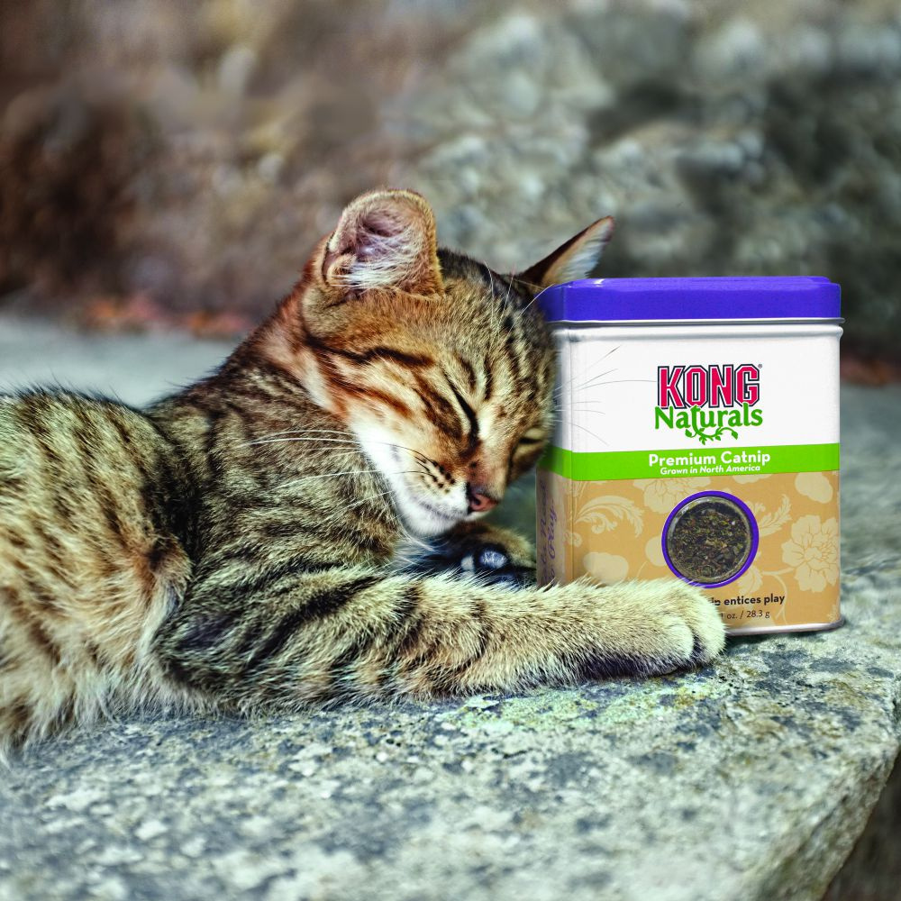 
                  
                    KONG Naturals Premium Catnip
                  
                