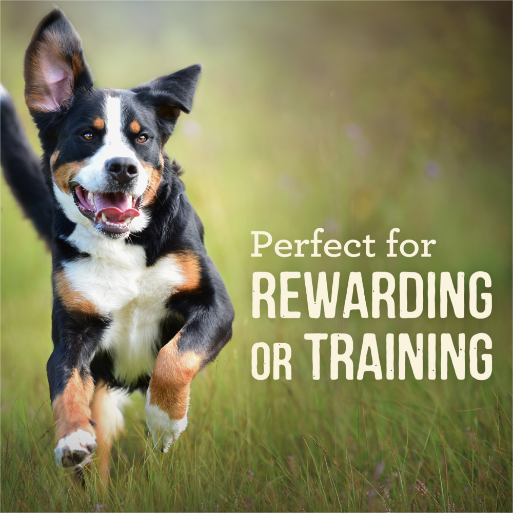 
                  
                    Merrick Power Bites Grain Free Rabbit Recipe Dog Treats
                  
                