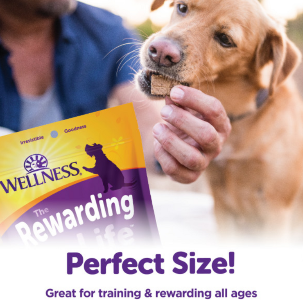
                  
                    Wellness Natural Grain Free Rewarding Life Beef & Turkey Dog Treats
                  
                