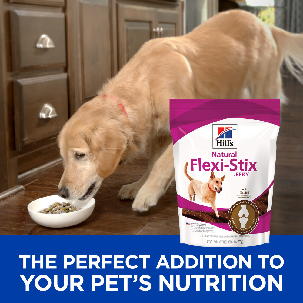 
                  
                    Hill's Science Diet Flexi-Stix Beef Jerky Dog Treats
                  
                