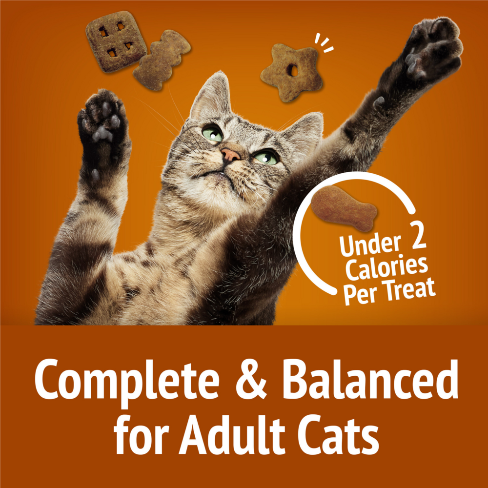 
                  
                    Friskies Party Mix Chicken Lovers Crunch Cat Treats
                  
                