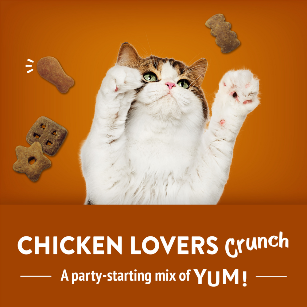 
                  
                    Friskies Party Mix Chicken Lovers Crunch Cat Treats
                  
                