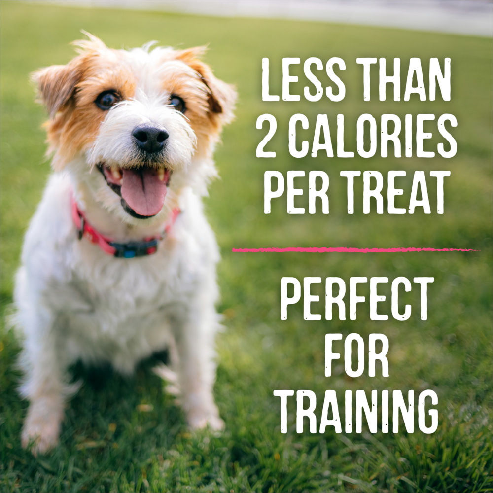 
                  
                    Merrick Lil' Plates Grain Free Small Salmon Dog Treats
                  
                