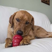 Load image into Gallery viewer, KONG Stuff&#39;N Snacks Peanut Butter Recipe Dog Treats