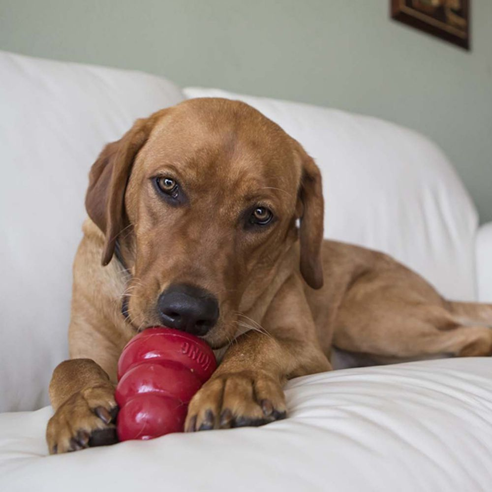 
                  
                    Kong Stuff'N Snacks Peanut Butter Recipe Dog Treats
                  
                