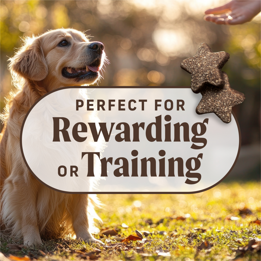 
                  
                    Merrick Power Bites Grain Free Salmon Dog Treats
                  
                