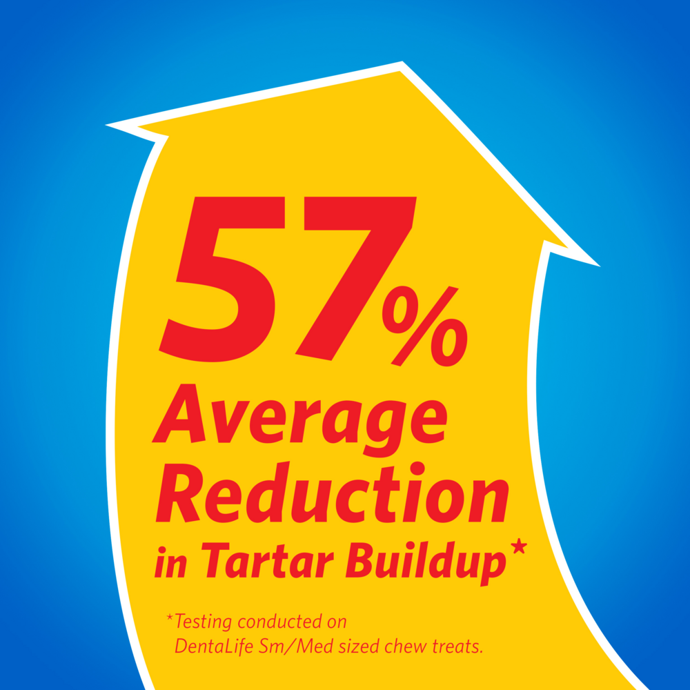 
                  
                    Purina DentaLife Daily Oral Care Mini Dental Dog Treats
                  
                