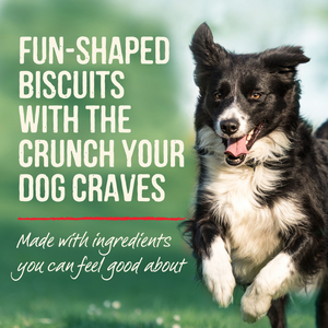 Merrick Oven Baked Pumpkin Patch Dog Treats