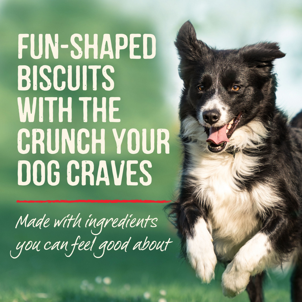 
                  
                    Merrick Oven Baked Paw'some Peanut Butter Dog Treats
                  
                