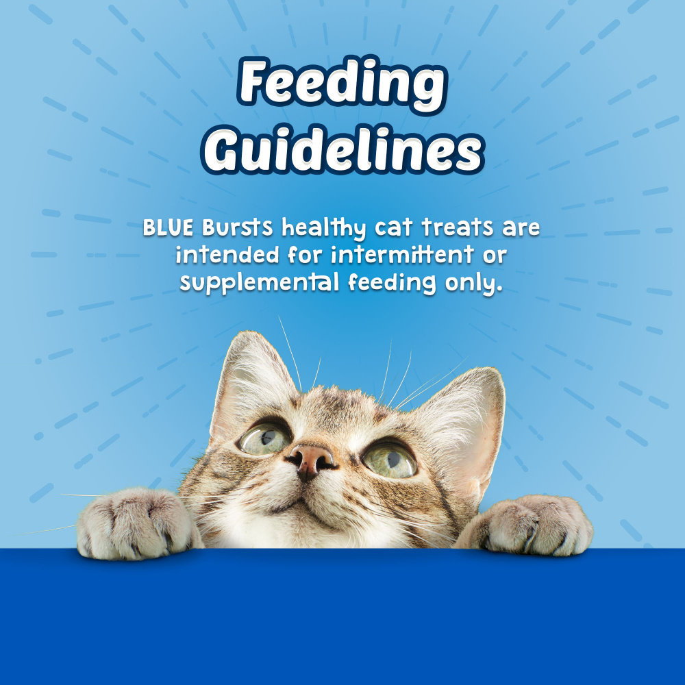 
                  
                    Blue Buffalo Bursts Filled Chicken Cat Treats
                  
                