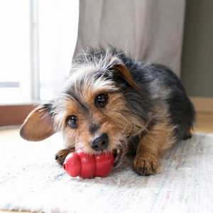 KONG Classic Dog Toy