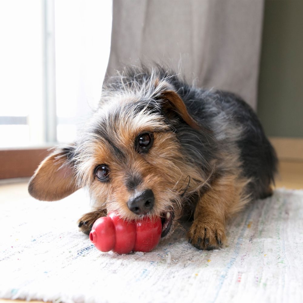 
                  
                    Kong Classic Dog Toy
                  
                