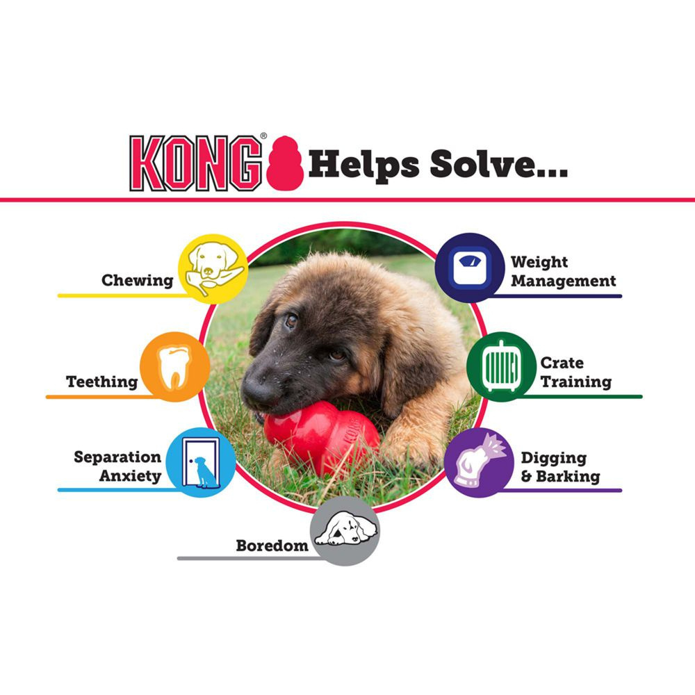 
                  
                    KONG Puppy Toy
                  
                