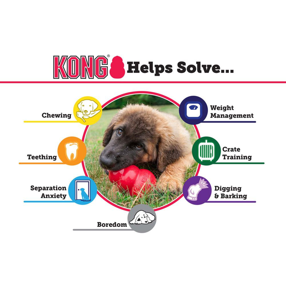 
                  
                    Kong Puppy Toy
                  
                