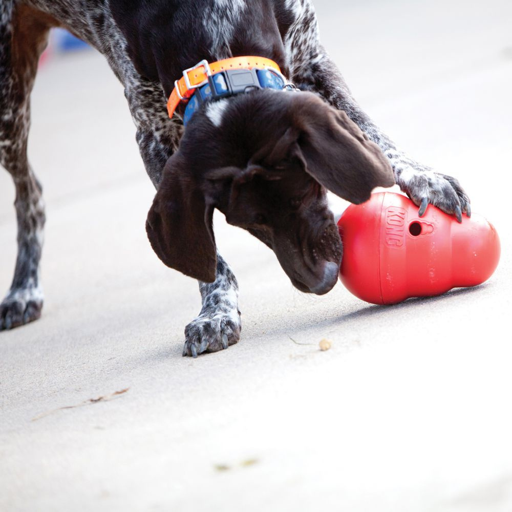 
                  
                    KONG Wobbler Treat Ball
                  
                