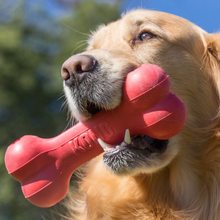 Load image into Gallery viewer, KONG Goodie Bone Dog Toy