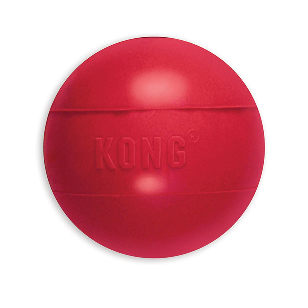 
                  
                    KONG Ball Dog Toy
                  
                