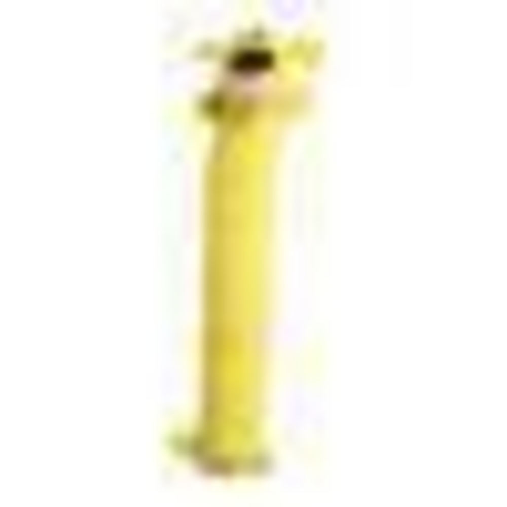 
                  
                    MultiPet Loofa Dog Toy
                  
                