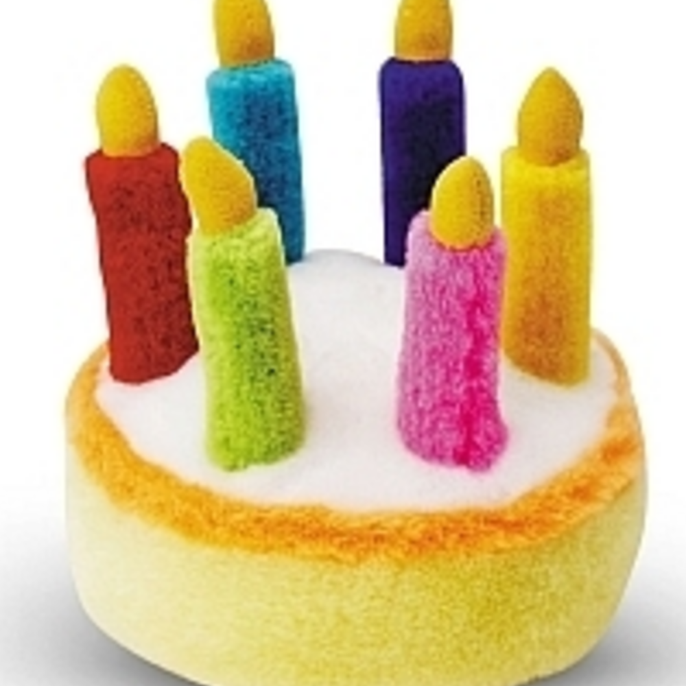 
                  
                    MultiPet Birthday Cake Dog Toy
                  
                