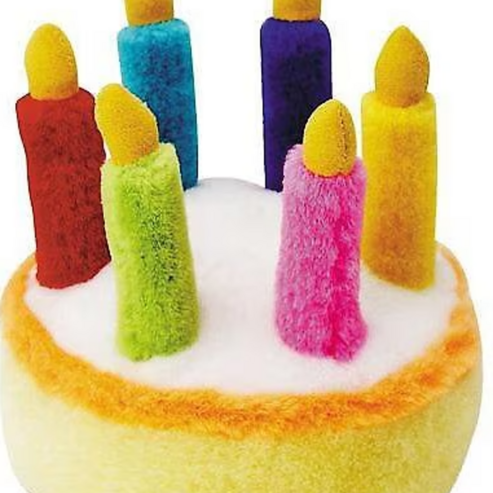 MultiPet Birthday Cake Dog Toy