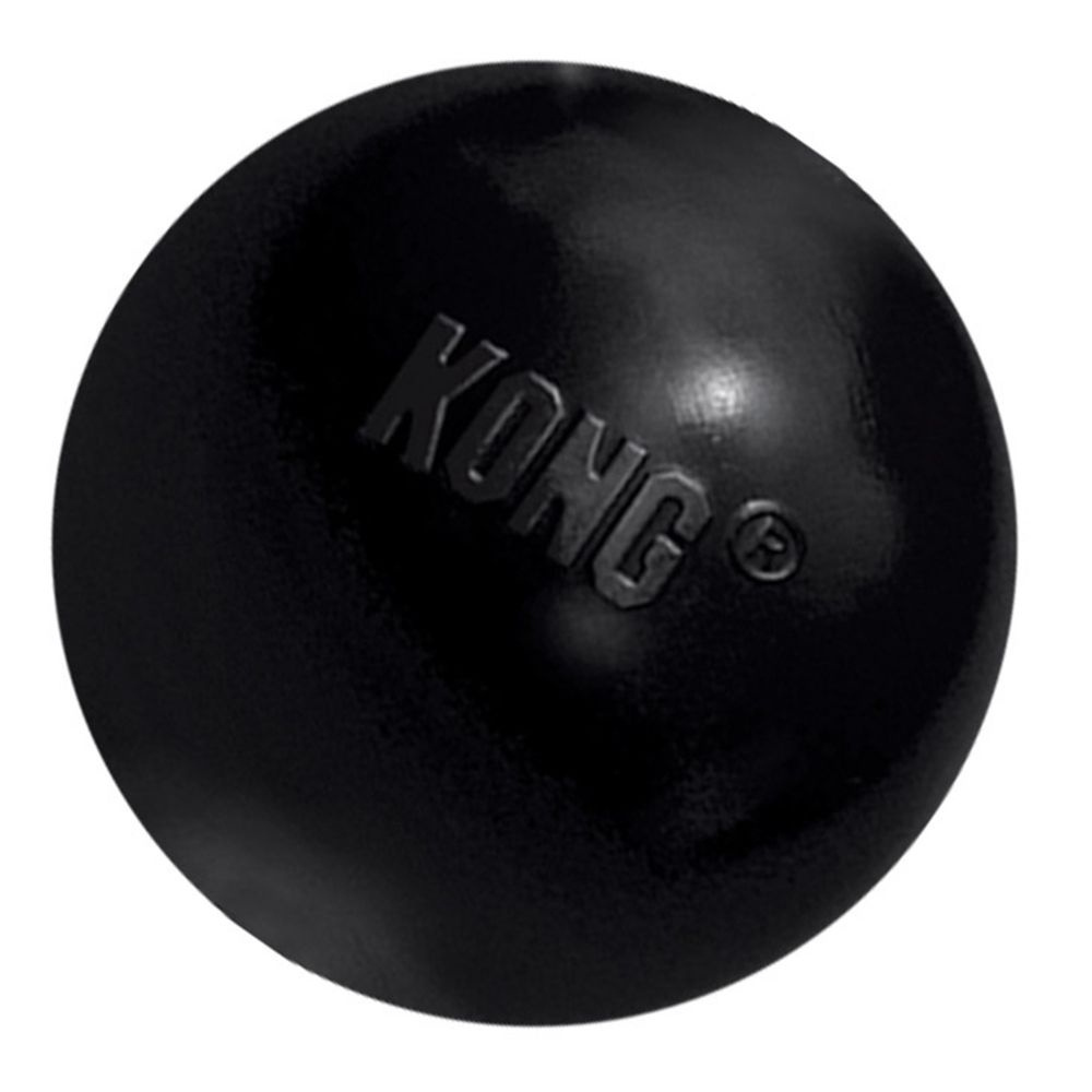 
                  
                    KONG Extreme Ball Dog Toy
                  
                