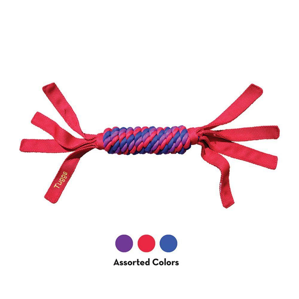 
                  
                    Kong Tugga Wubba Dog Toy
                  
                