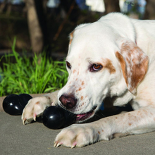 Load image into Gallery viewer, KONG Extreme Goodie Bone Dog Toy