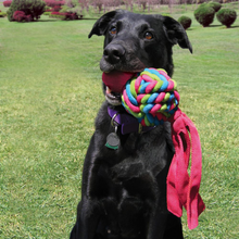 Load image into Gallery viewer, KONG Wubba Weave Dog Toy