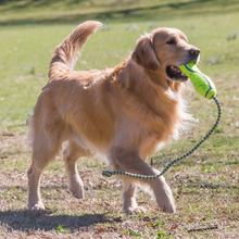 Load image into Gallery viewer, KONG AirDog Squeaker Stick Dog Toy