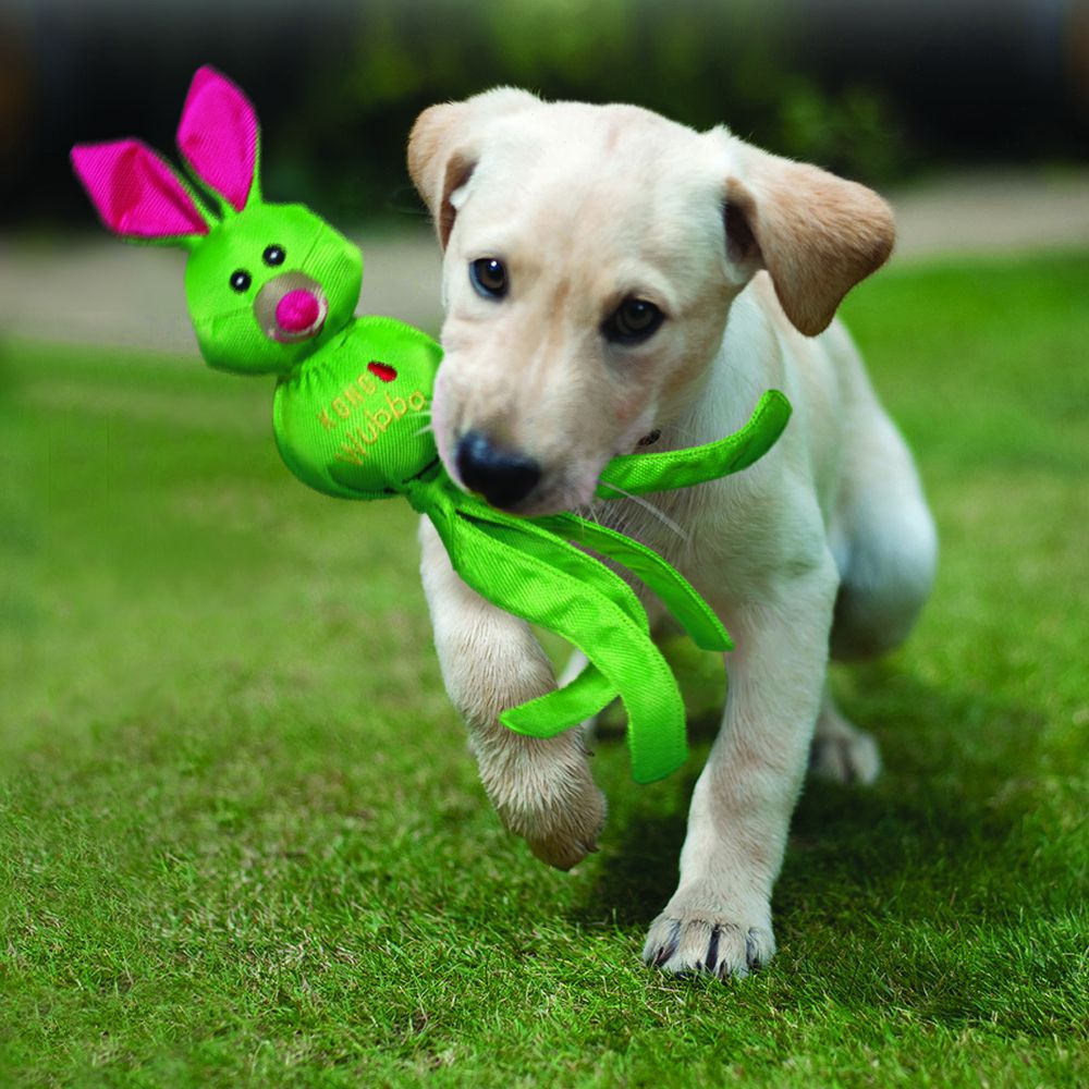 
                  
                    KONG Wubba Ballistic Friends Dog Toy
                  
                