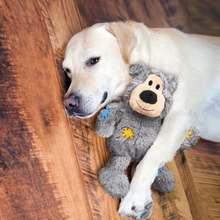 Load image into Gallery viewer, KONG Wild Knots Bear Hearts Dog Toy