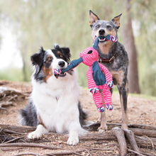 Load image into Gallery viewer, KONG Floppy Knots Bunny Dog Toy