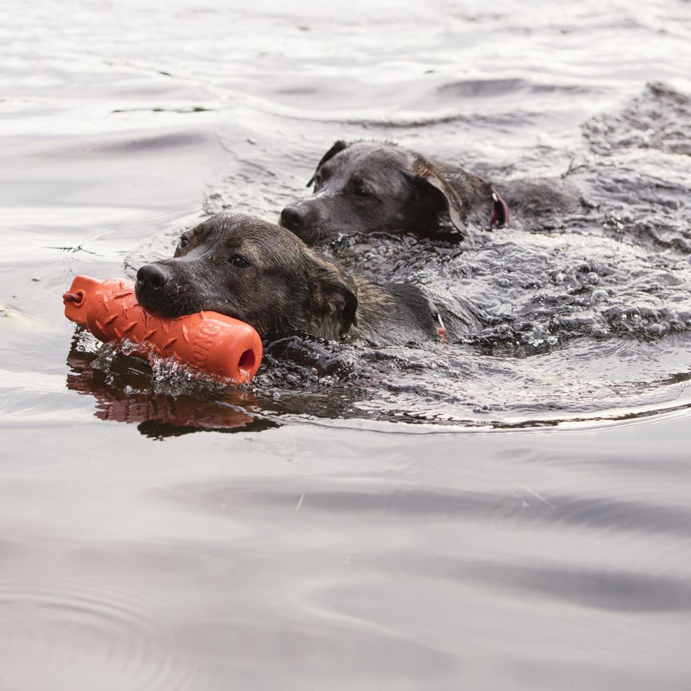 
                  
                    KONG Training Dummy Floating Dog Toy
                  
                