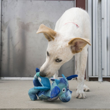 Load image into Gallery viewer, KONG Dragon Knots Dog Toy