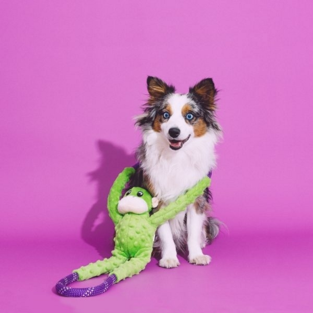 
                  
                    ZippyPaws Monkey RopeTugz Plush Dog Toy
                  
                