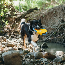 Load image into Gallery viewer, ZippyPaws Rope Gliderz Dog Toy