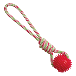 Snugarooz Spike-O-Mite Rope Dog Toy