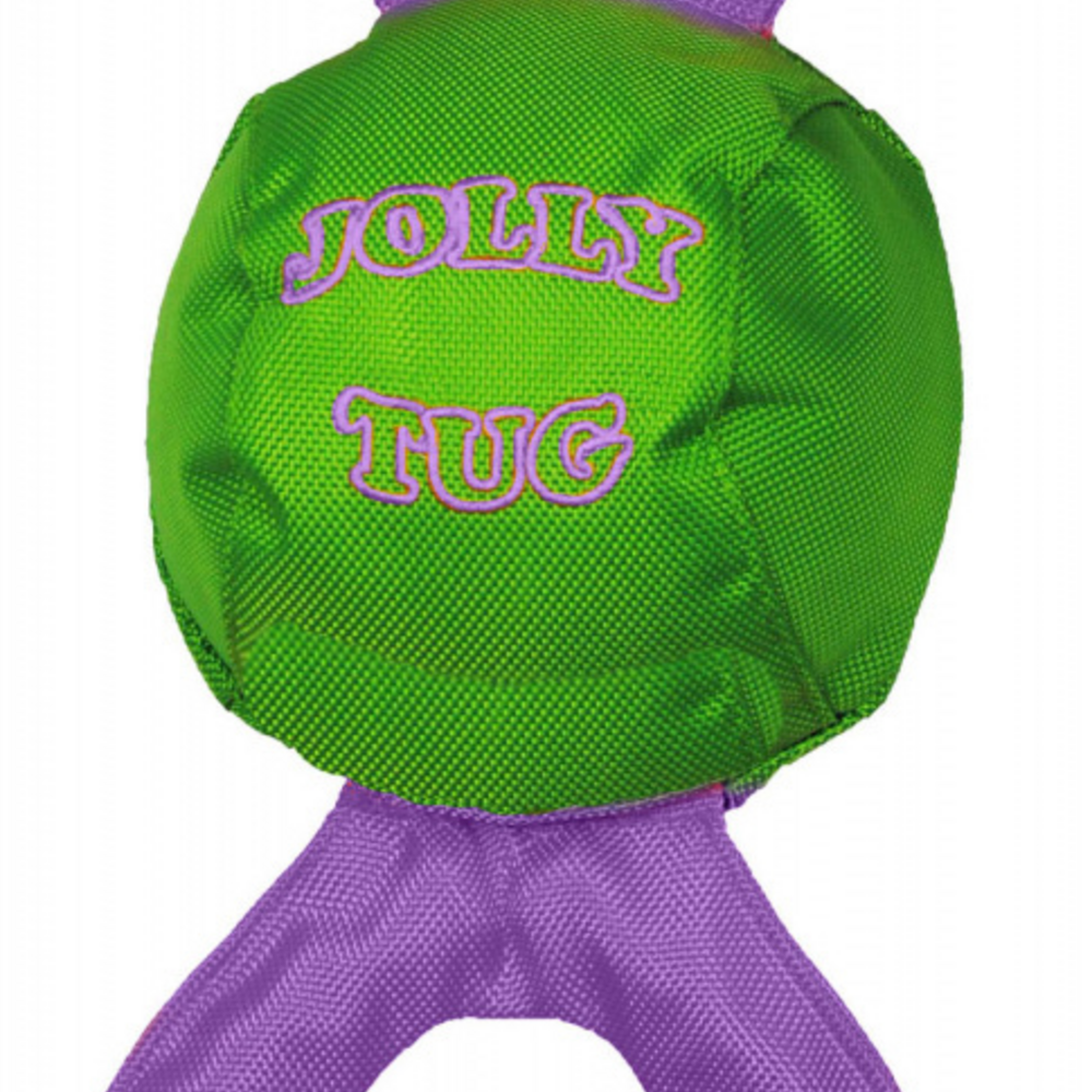 
                  
                    Jolly Pets Jolly Tug Dog Toy
                  
                