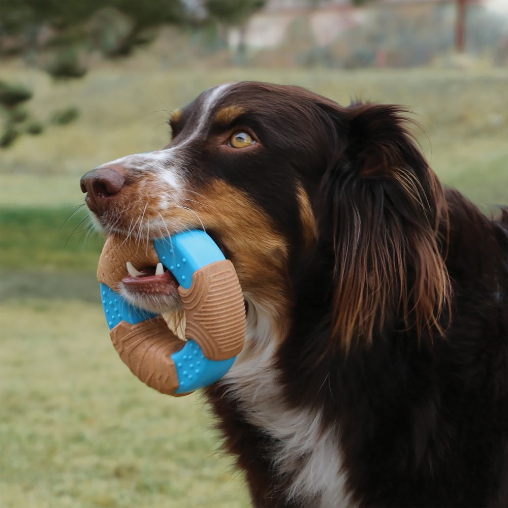 
                  
                    KONG CoreStrength Bamboo Bone Dog Toy
                  
                