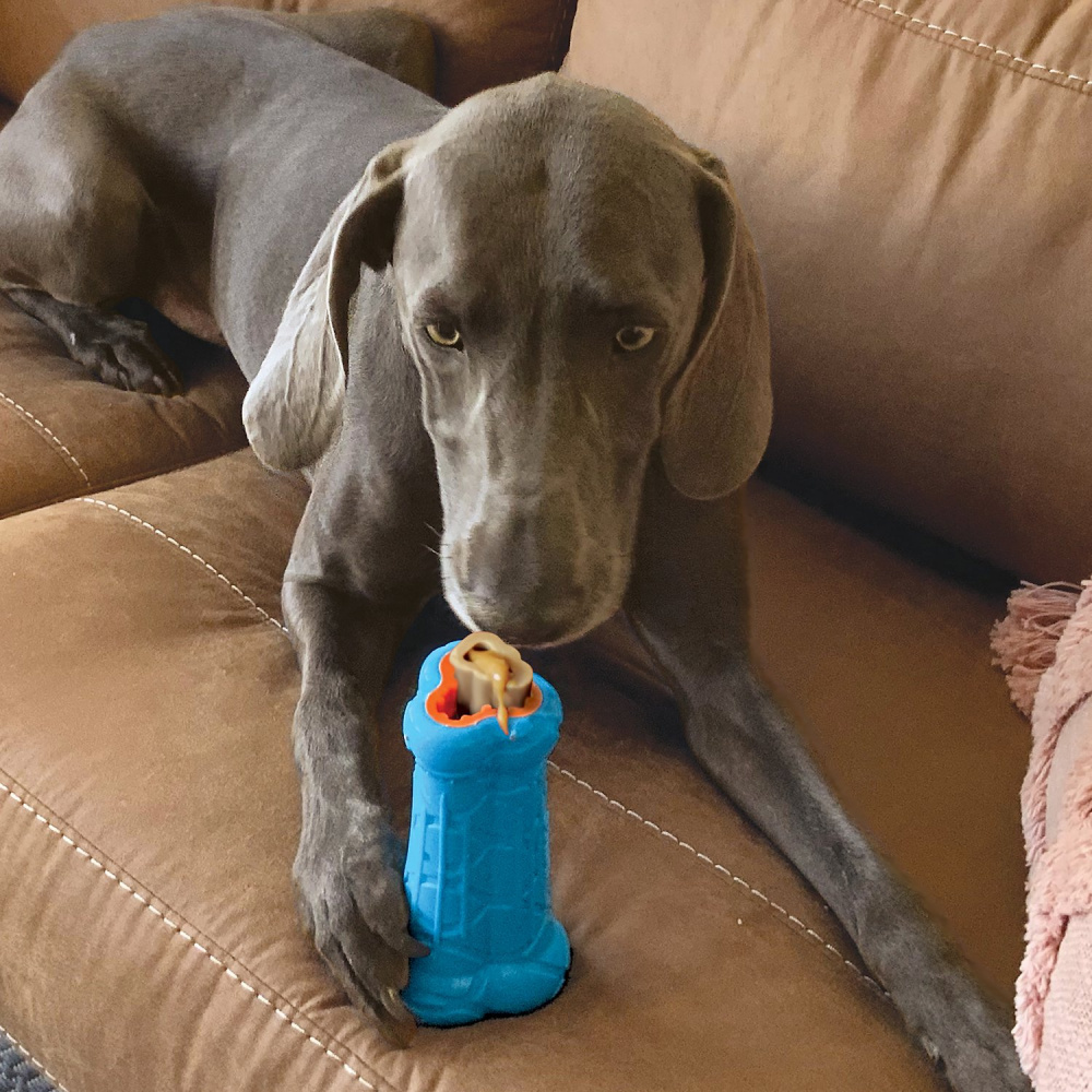 
                  
                    KONG Treatster Treat Dispenser
                  
                