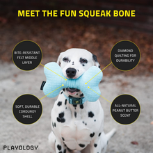 Load image into Gallery viewer, Playology Plush Bone Beef Scented Dog Toy