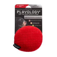 Load image into Gallery viewer, Playology Plush Ball Beef Scented Dog Toy