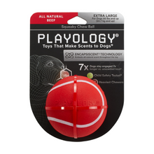 Load image into Gallery viewer, Playology Squeaky Chew Ball Beef Scented Dog Toy