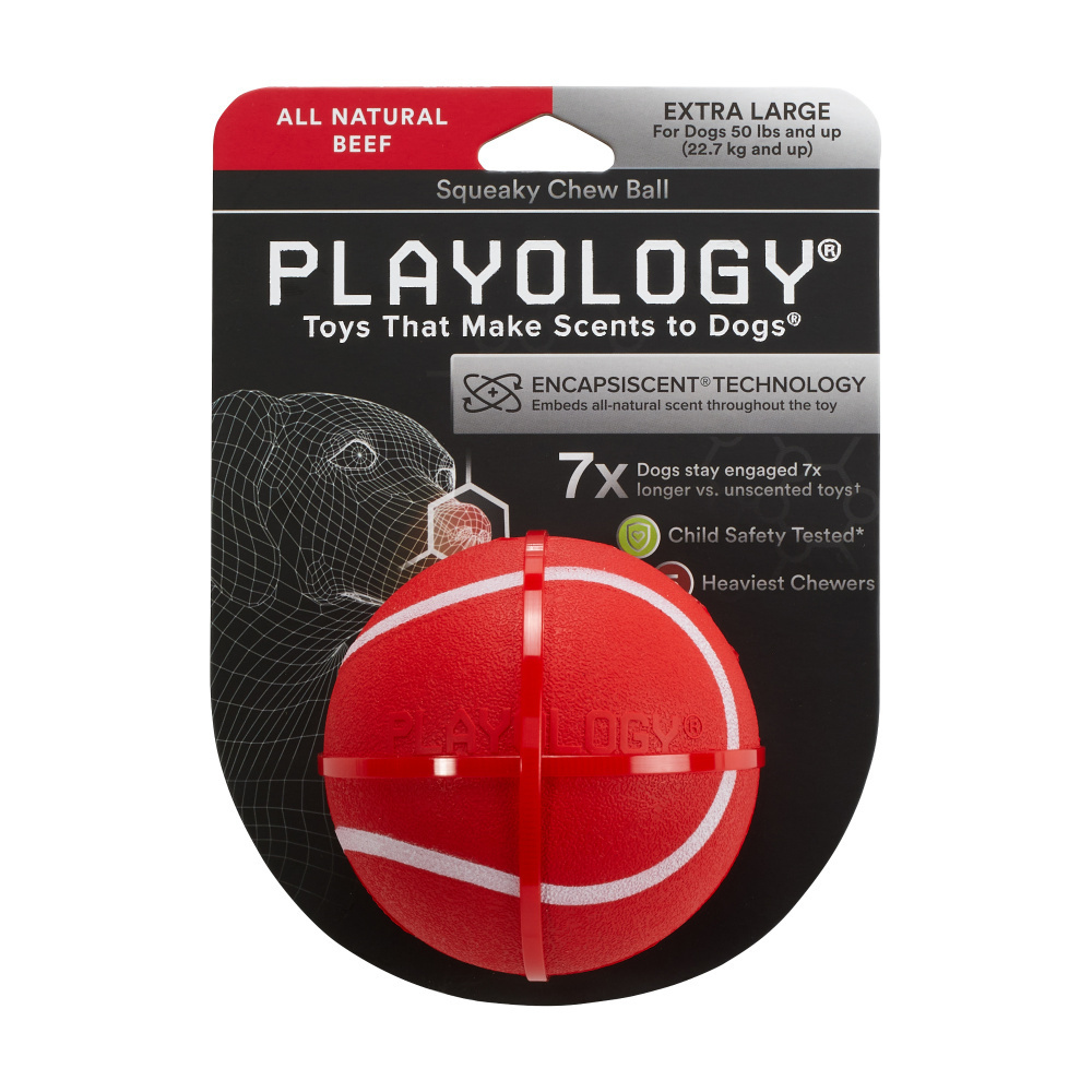 
                  
                    Playology Squeaky Chew Ball Beef Scented Dog Toy
                  
                