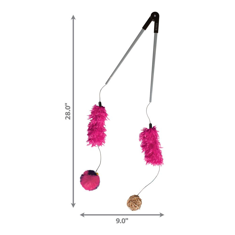 
                  
                    KONG Teaser Tweezerz Assorted Cat Toy
                  
                