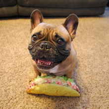 Load image into Gallery viewer, Doggijuana Get the Munchies Taco