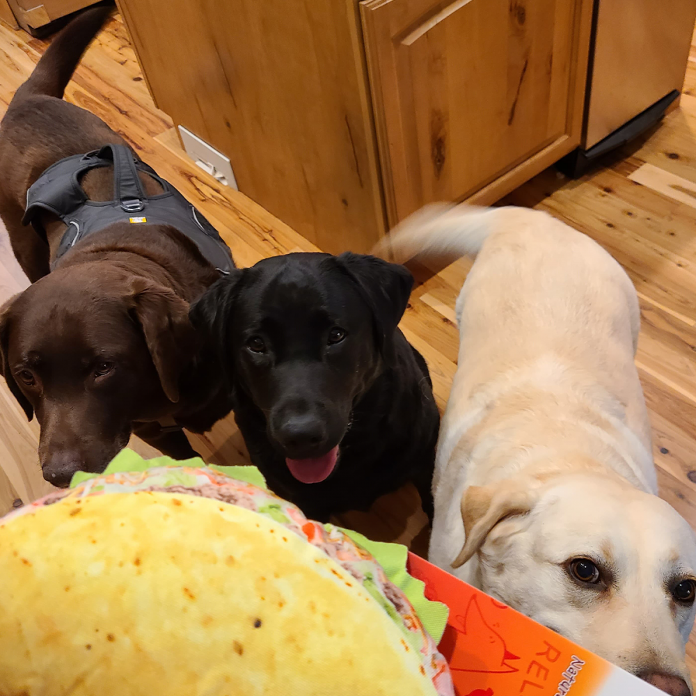 
                  
                    Doggijuana Get the Munchies Taco
                  
                