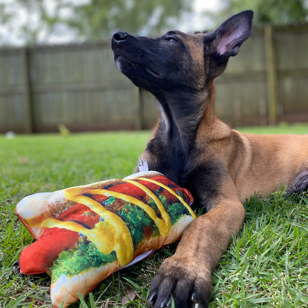 
                  
                    Doggijuana Get the Munchies Hot Dog
                  
                