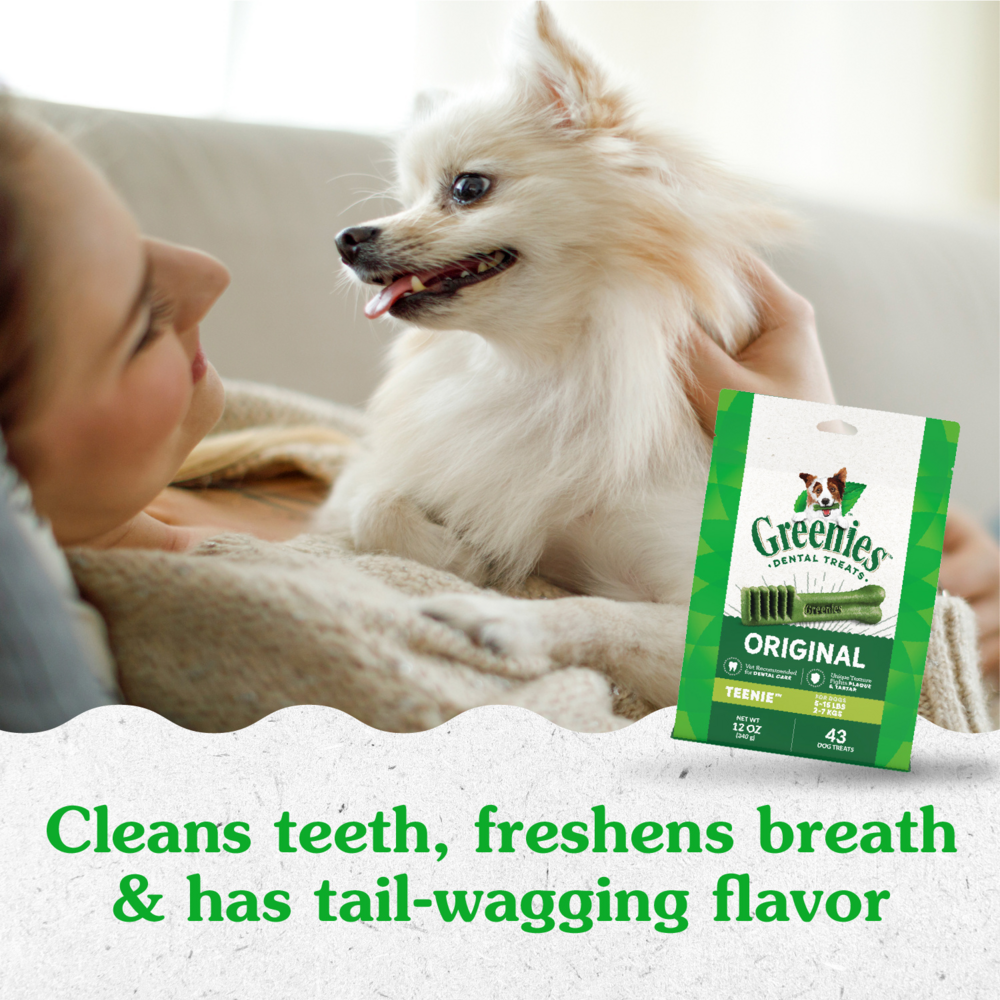 
                  
                    Greenies Adult Natural Dental Dog Treats Teenie Size, Original Flavor
                  
                
